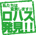 私たちは宣言します!!ロハス発見!!